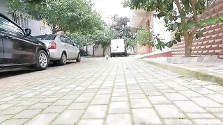 Two very cute and lovely Cats want to get food.
