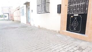 A very cute ginger cat who lives on the street.