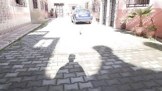 The affectionate cat waits for me every day for affection and food.
