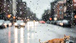 Jordey has an idea ???? vs ????