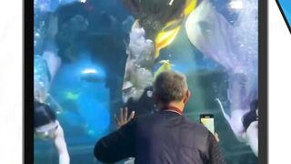 umur segini emang lagi lucu"nya