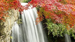 ✅Música relaxante para relaxamento, sono e meditação- Relaxar e dormir bem- Fragmentos #59