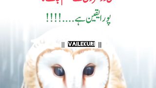 Insane itna bhatak gaya hai