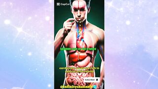 WHAT HAPPENS WHILE YOU EATING CARDAMON INSIDE HUMAN BODY ????