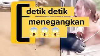 tense moments of a lion eating a woman