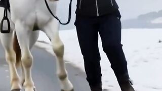 mulher e cavalo dançando