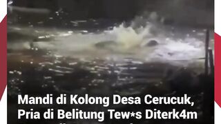 Tragis! Pria 40 Tahun Tewas Diterkam Buaya Saat Mandi di Bekas Tambang Timah Belitung