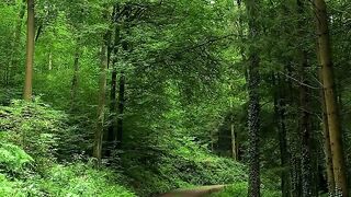 beautiful switzerland