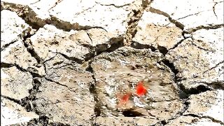 A Small Help, A Big Smile ❤️ | One Act of Kindness Can Change Everything!????????????????