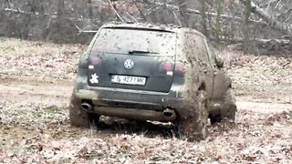 Touareg