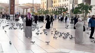 “Wa amma bini’mati rabbika fa haddist”