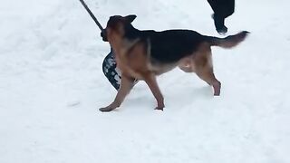 Классссс