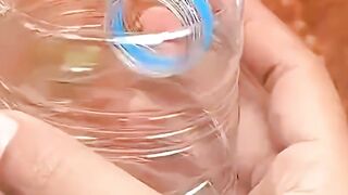 Low-Cost Urban Farming: A Step-by-Step Onion Propagation Tutorial