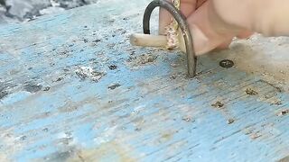 How to Build a High-Efficiency Deadfall Trap for Garden Pests