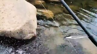 Letting Go Is Also a Win ????