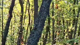 Beautiful nature