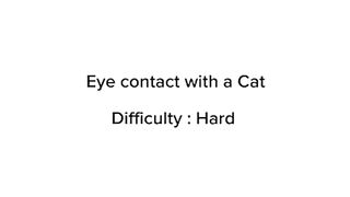 Eye contact challenge #funny