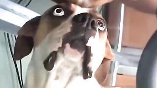 Confused Friend