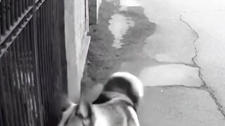 A ghost frightened the dog #cctvhorror #memes #minicamera #cctvfootage