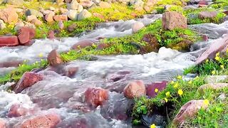 A definite fairyland, not Switzerland though.