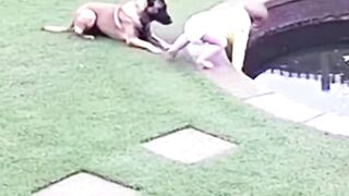HERO Saves Toddler From Falling Into Pond #RawCCTV #cctvfootage #hero