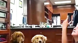 Confused Friend