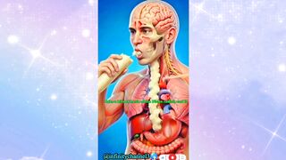 WHAT HAPPENS WHILE YOU EATING WHITE DIAKON RADISH INSIDE HUMAN BODY ????