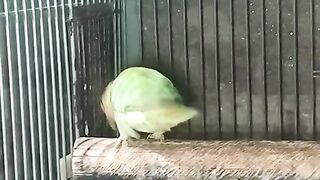 What ate you looking