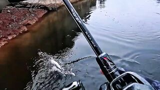 Not a Winner, But a Better Version of Myself