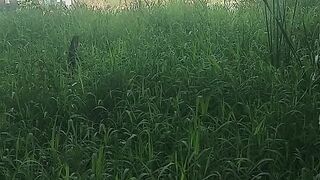 Terlalu pandai menilai