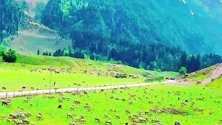 beautiful explore ♥️