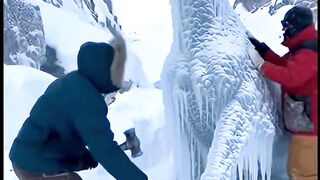 Frozen solid in ice- seconds later, the horse free #rescue #rescueanimals #arcticrescue