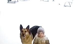 Mom Asked “Who Did This?” — The Dog ANSWERED #funny #cctv #securityfootage #wholesome #homecamera