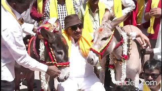 A unique incident in India, donkeys were married on Valentine's Day