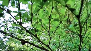 The Untouched Beauty of the Wild