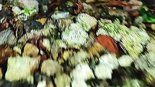 The Untouched Beauty of the Wild