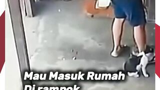 TIGA BEGAL VS SATU WARGA
