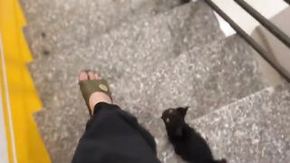 It's been a long time since I bathed my kitten, and I was actually shocked by the bathwater...