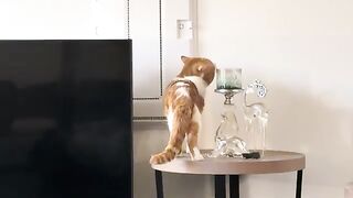 “Wake up”