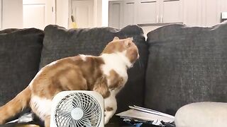 Acting suspiciously