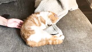 Dirty peetsies