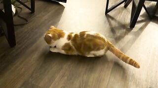 Lions and Tigers