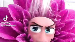 Medical Tips To Clean  Female Cat To Make Her Health