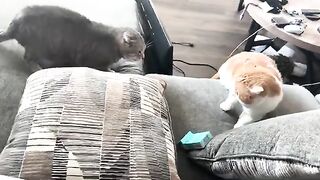 No- take a toy