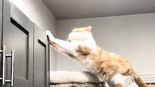 On top of the world