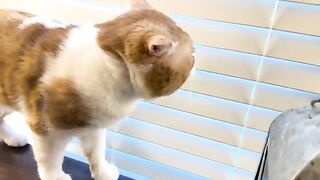 A rubbable boy
