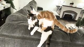 Stepping on his organs