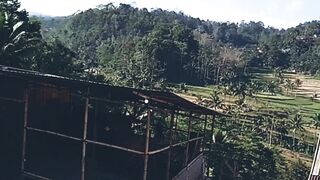 The Beauty of Nature That Soothes the Heart.