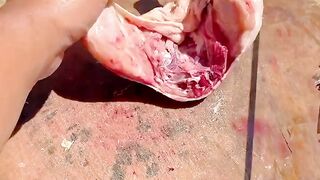 Professional Chicken Cutting Skills | Clean Cuts, Real Technique