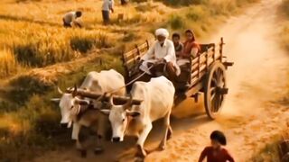 Before Kolkata vs After Kolkata ????